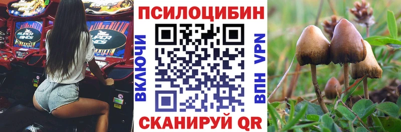 Псилоцибиновые грибы Cubensis  купить наркоту  мориарти как зайти  Белёв 